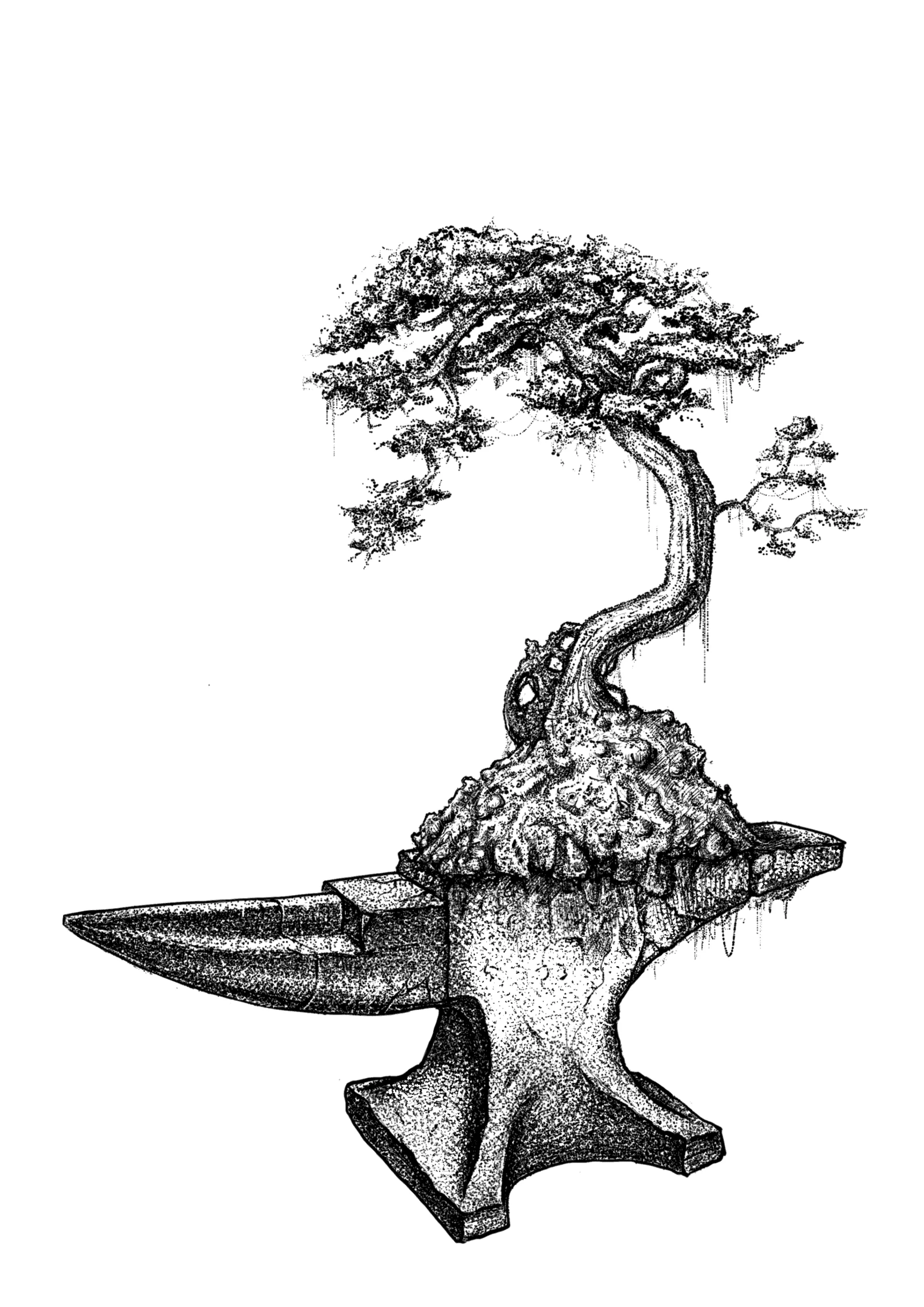 Anvil roots